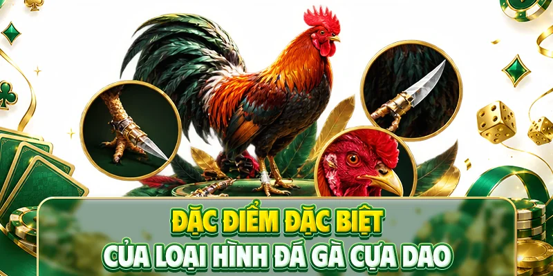 Đặc điểm đặc biệt của loại hình đá gà cựa dao